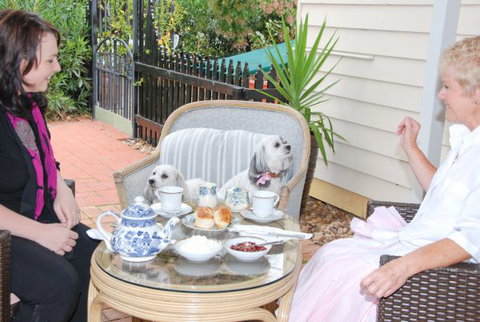 Must Love Dogs B&B And Self-Contained Cottage - Tourism Noosa 2