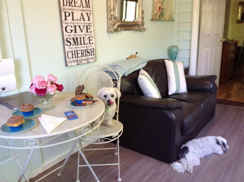 Must Love Dogs B&B And Self-Contained Cottage - Tourism Noosa 4