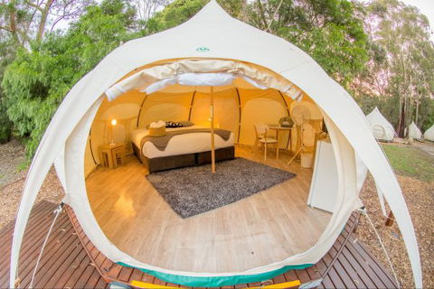 Yarra Valley Park Lane Glamping Belle Tents - Tourism Noosa 8