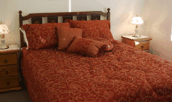 Seville House - Tourism Noosa 2