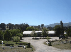 Merrijig Motor Inn - Tourism Noosa 1