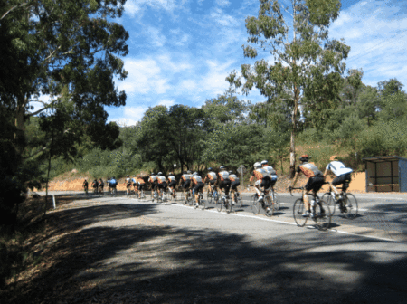 Pinnacle View Apartments - thumb 5