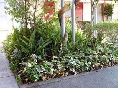 Comfort Inn Manhattan - Tourism Noosa 2