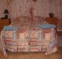 Radeka Downunder Underground Motel And Backpackers Inn - Tourism Noosa