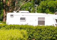 Barilla Holiday Park - Tourism Noosa 3