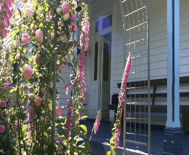 Devonport Bed And Breakfast - Tourism Noosa
