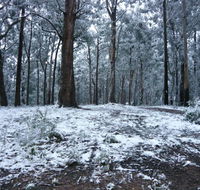 High Peaks Cottages - Tourism Noosa