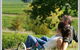 Wine Diva Tours - thumb 9