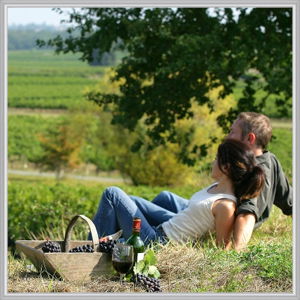 Wine Diva Tours - Tourism Noosa 9