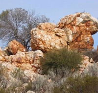 Credo Homestead Camp at Credo Conservation Park - Tourism Noosa