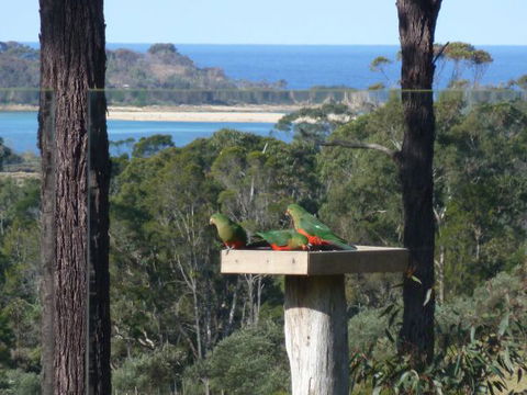 Indigo Couples Retreat Murrah Beach - Tourism Noosa 8