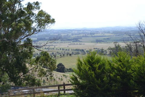 Clifden Cottage - Tourism Noosa 1