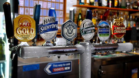 Alpine Inn - Tourism Noosa 2