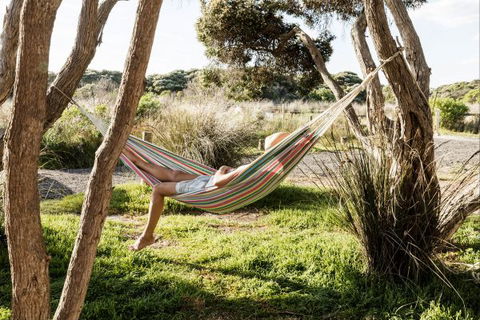 Anglesea Family Caravan Park - Tourism Noosa 1