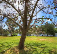 Breakaway Twin Rivers Caravan Park - Tourism Noosa