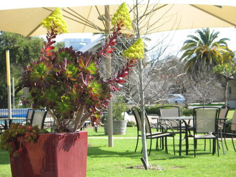 Golden Chain Wine Village Motor Inn - Tourism Noosa 3