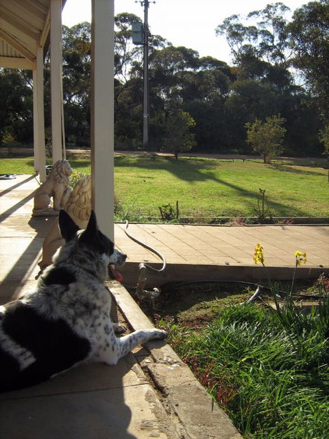 Great Grandpa Henry Retreat - Tourism Noosa 4