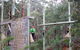 Kinglake Forest Adventures Camp - thumb 2