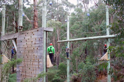 Kinglake Forest Adventures Camp - Tourism Noosa 2