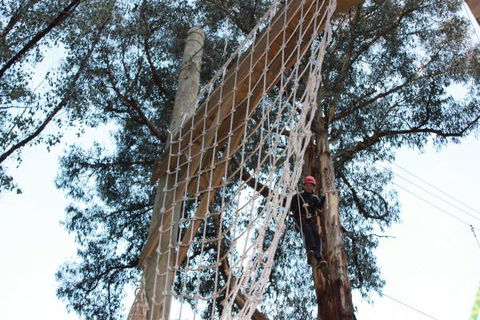 Kinglake Forest Adventures Camp - Tourism Noosa 4