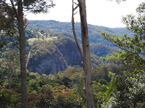 Mt Tamborine Motel - Tourism Noosa 0