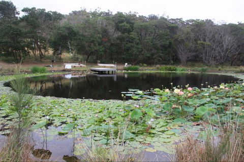 Murrah Luxury Holiday Accommodation - Tourism Noosa 8