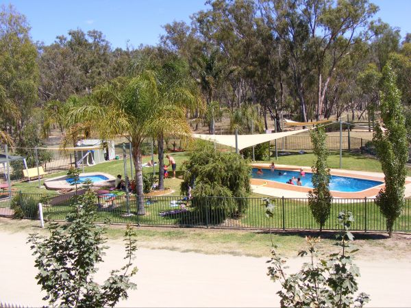 Bearii ACT Tourism Noosa