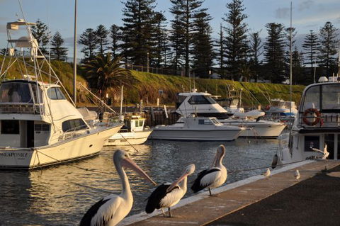Nautica Accommodation Gerringong - Tourism Noosa 2