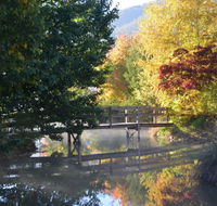 Nug Nug Wah Homestead - Tourism Noosa