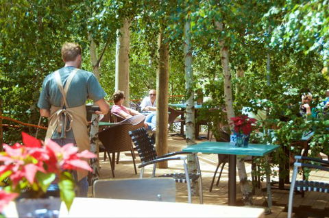 Oakdene Vineyards Guesthouse - Tourism Noosa 5