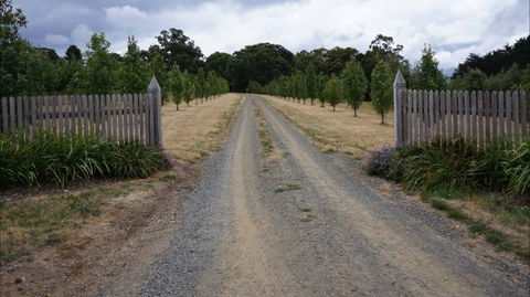 Oakhill Cottage - Tourism Noosa 7