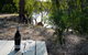 Paringa Grove Homestead - thumb 9