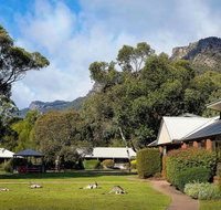 Pinnacle Holiday Lodge - Tourism Noosa