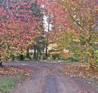 Rustic Spirit - Tourism Noosa