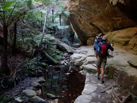 Takarakka Bush Resort Carnarvon Gorge - Tourism Noosa 6