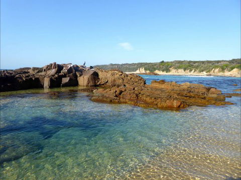 Tilba Coastal Retreat - Tourism Noosa 6