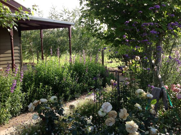 Somerville VIC Tourism Noosa