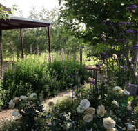 Wandana Bed and Breakfast - Tourism Noosa