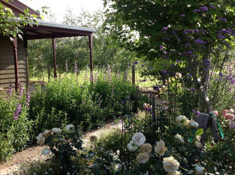 Wandana Bed And Breakfast - Tourism Noosa 0