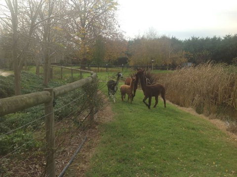 Wandana Bed And Breakfast - Tourism Noosa 1