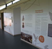 Whitestone Apartments - Tourism Noosa