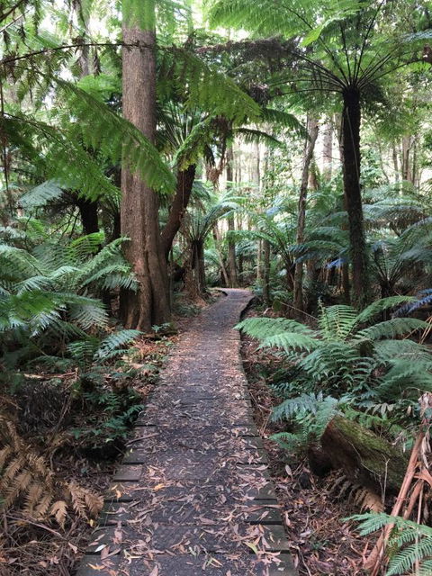 Woodland Mirth Holiday Retreat - Tourism Noosa 8