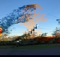 Alfred Motor Inn - Tourism Noosa