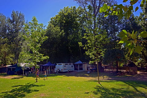 Ardern's Caravan Park Myrtleford - Tourism Noosa 0