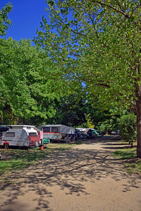 Ardern's Caravan Park Myrtleford - Tourism Noosa 1