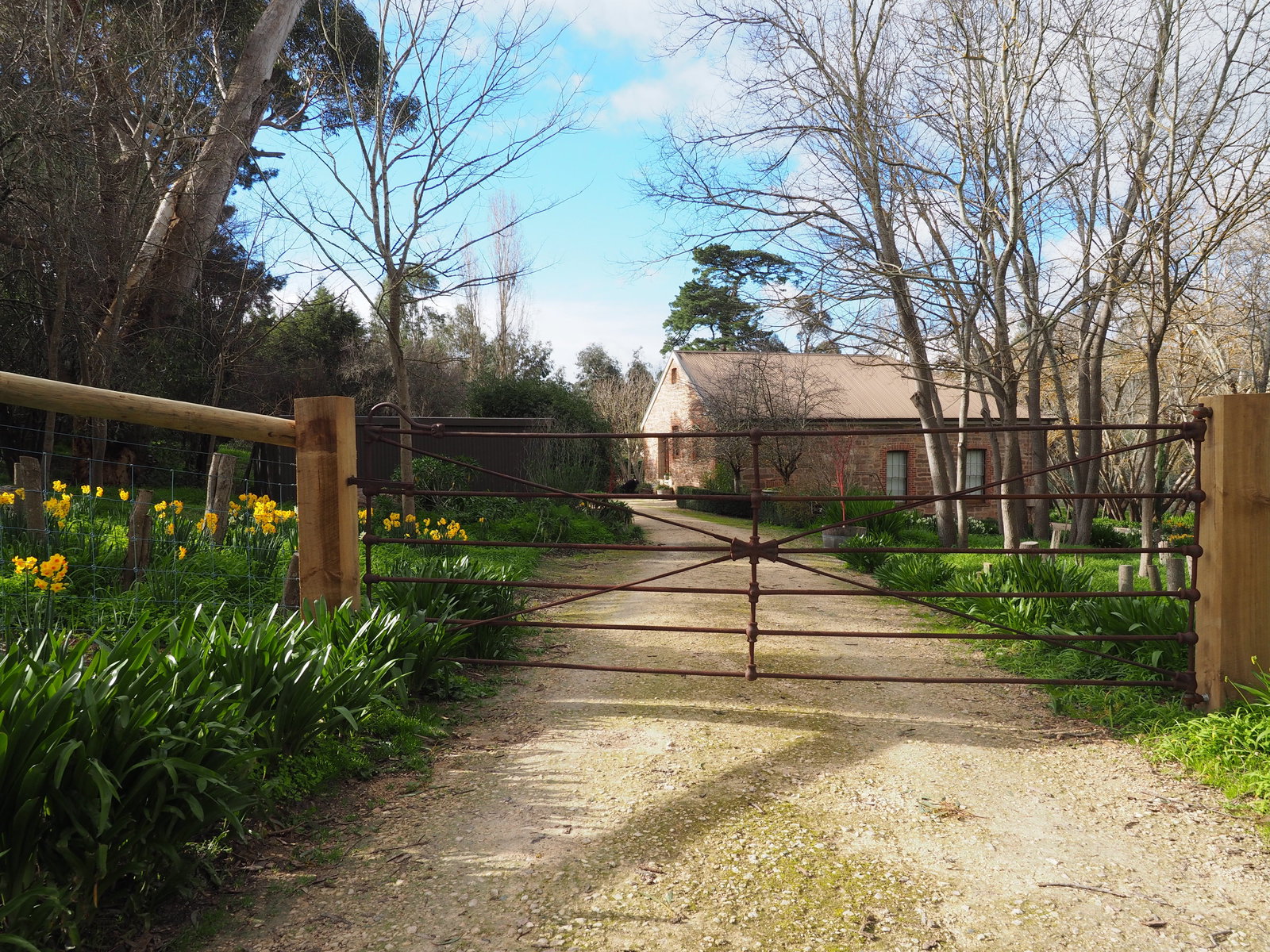 Blakiston SA Tourism Noosa