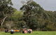 Boronia Farm - thumb 0