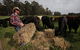 Boronia Farm - thumb 5