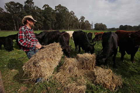 Boronia Farm - Tourism Noosa 5