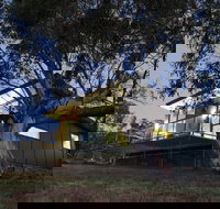 ecocrackenback - Tourism Noosa